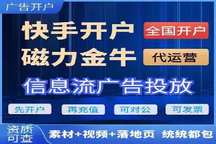 视频教程：通过SEM推广实现快速引流